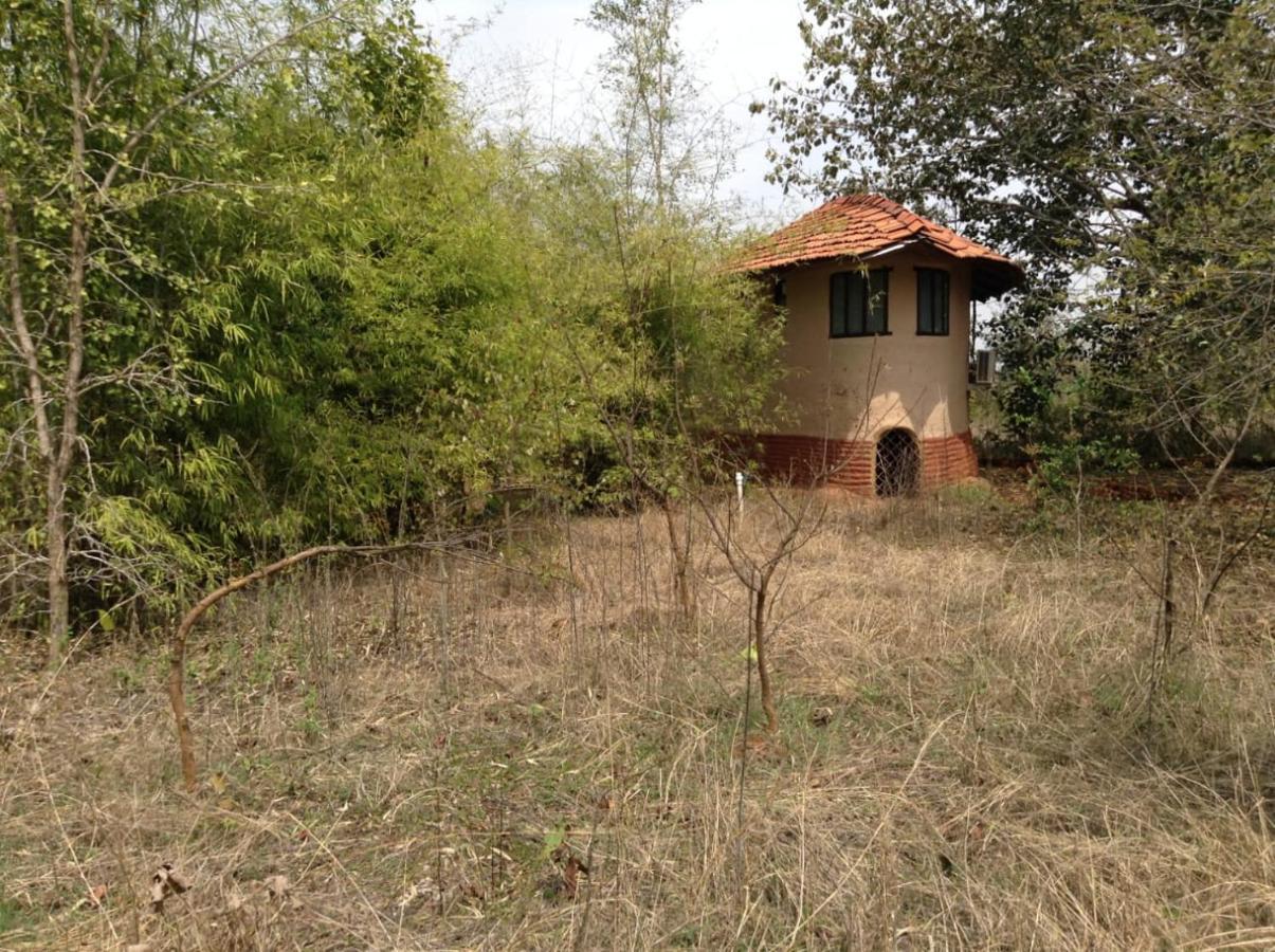 Monsoon Forest Tāla Exterior foto